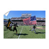 Army West Point Black Knights - Old Glory - College Wall Art #Wall Decal