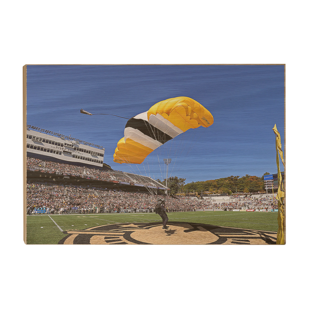 Army West Point Black Knights - Pinpoint Landing - College Wall Art #Canvas
