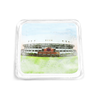 Auburn Tigers - Jordan Hare Stadium Watercolor Drink Coaster