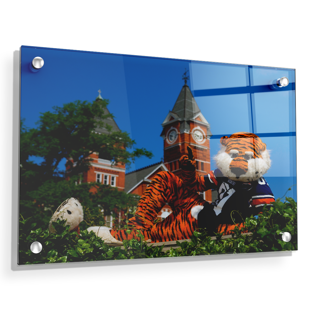 Auburn Tigers - Aubie - College Wall Art#Canvas