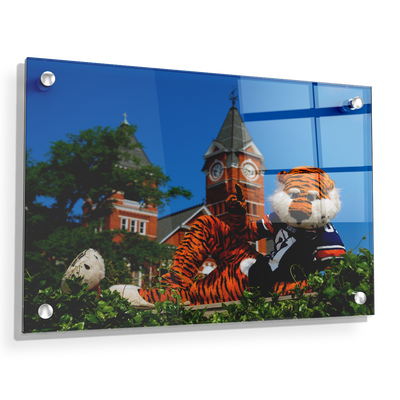 Auburn Tigers - Aubie - College Wall Art#Acrylic