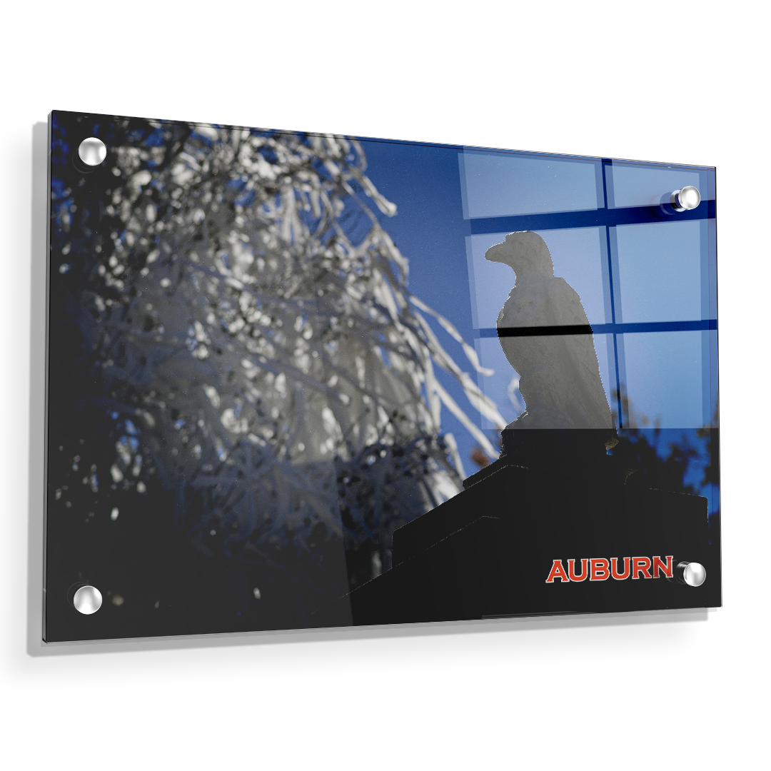 Auburn Tigers - Watchful Eye Toomers - College Wall Art#Canvas