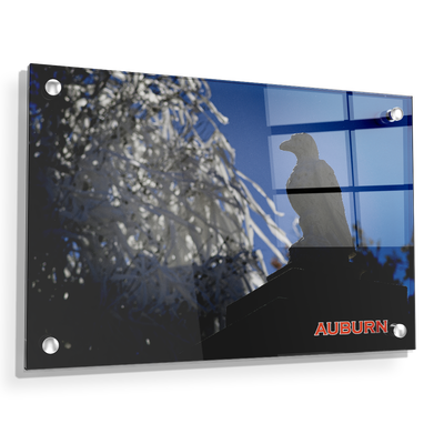 Auburn Tigers - Watchful Eye Toomers - College Wall Art#Acrylic