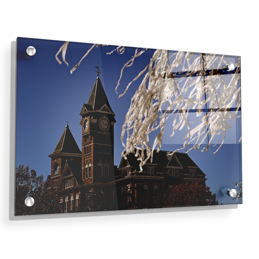 Auburn Tigers - Samford Toomers - College Wall Art#Canvas