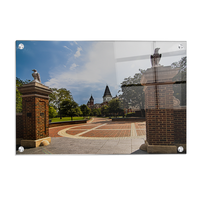 Auburn Tigers - Grand Entrance - College Wall Art #Acrylic