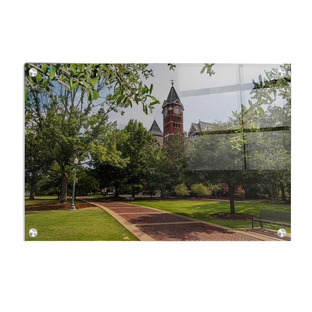 Auburn Tigers - The Walk to Samford - College Wall Art #Canvas