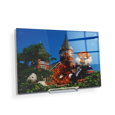 Auburn Tigers - Aubie - College Wall Art#Acrylic Mini