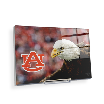 Auburn Tigers - War Eagle Up Close - College Wall Art#Acrylic Mini