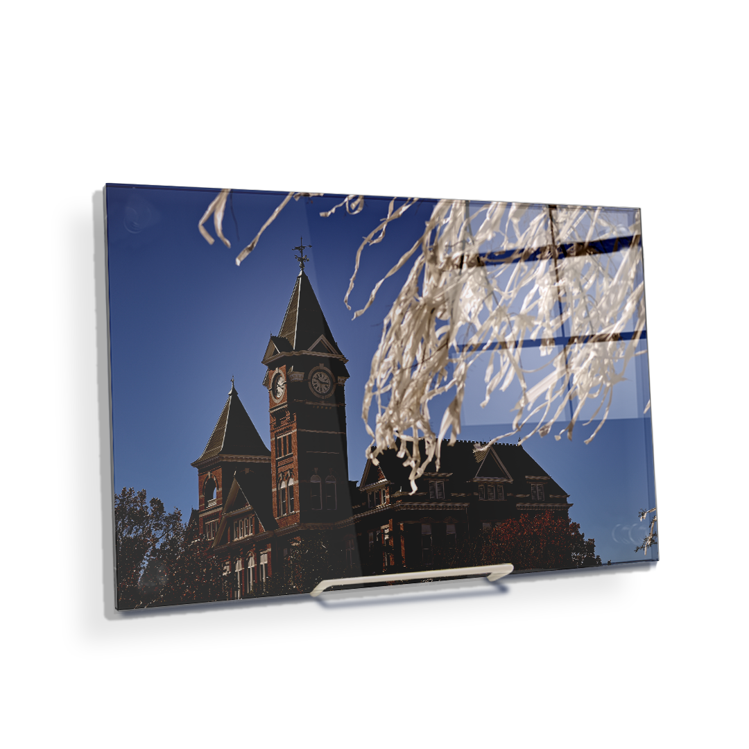 Auburn Tigers - Samford Toomers - College Wall Art#Canvas