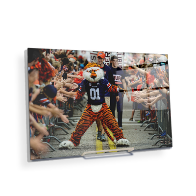 Auburn Tigers - Aubie at the Tiger Walk - College Wall Art #Acrylic Mini