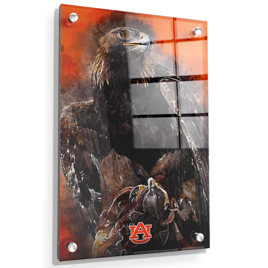 Auburn Tigers - War Eagle Paint - College Wall Art#Canvas