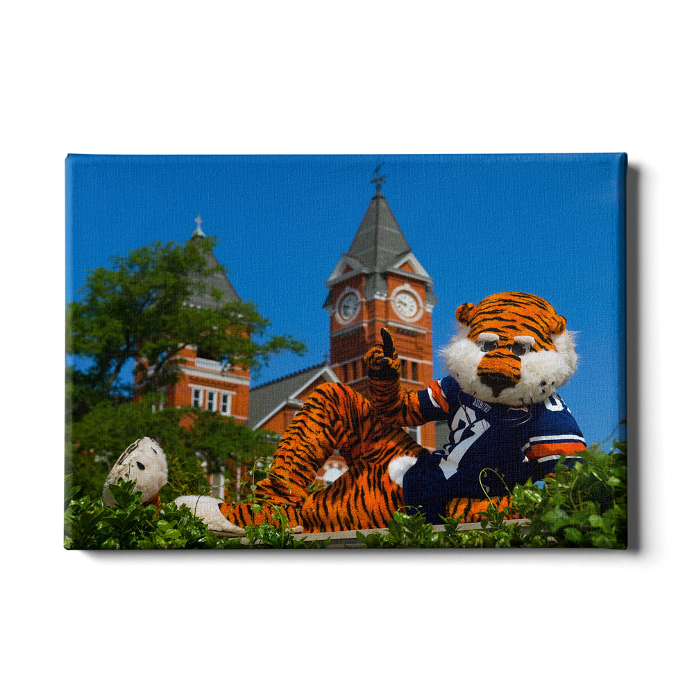 Auburn Tigers 5X6-Inch Swirl Shape Proud Mom Ncaa - Durable School