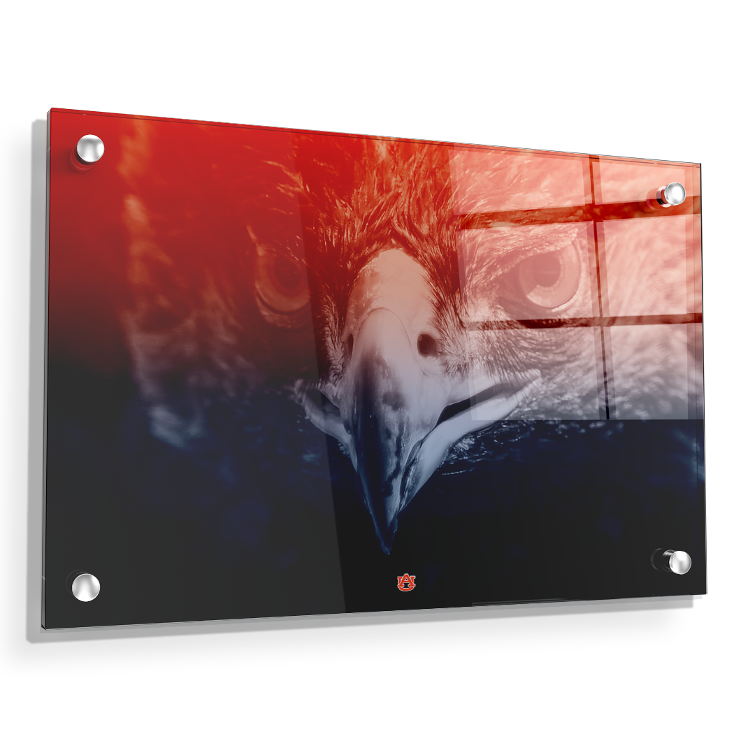 Auburn Tigers - Greetings War Eagle - College Wall Art#Canvas