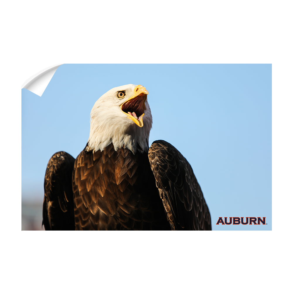 Auburn Tigers - War Eagle - College Wall Art#Canvas