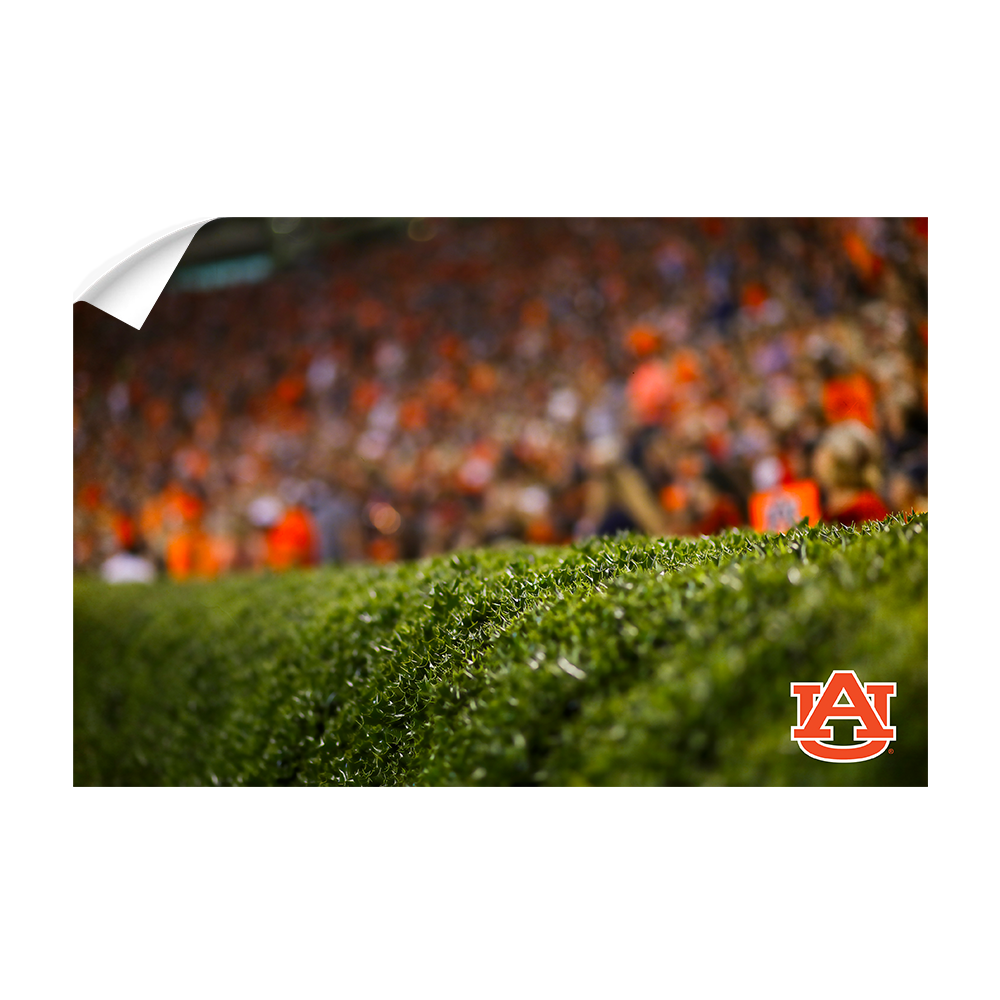 Auburn Tigers - The Hedges - College Wall Art#Canvas