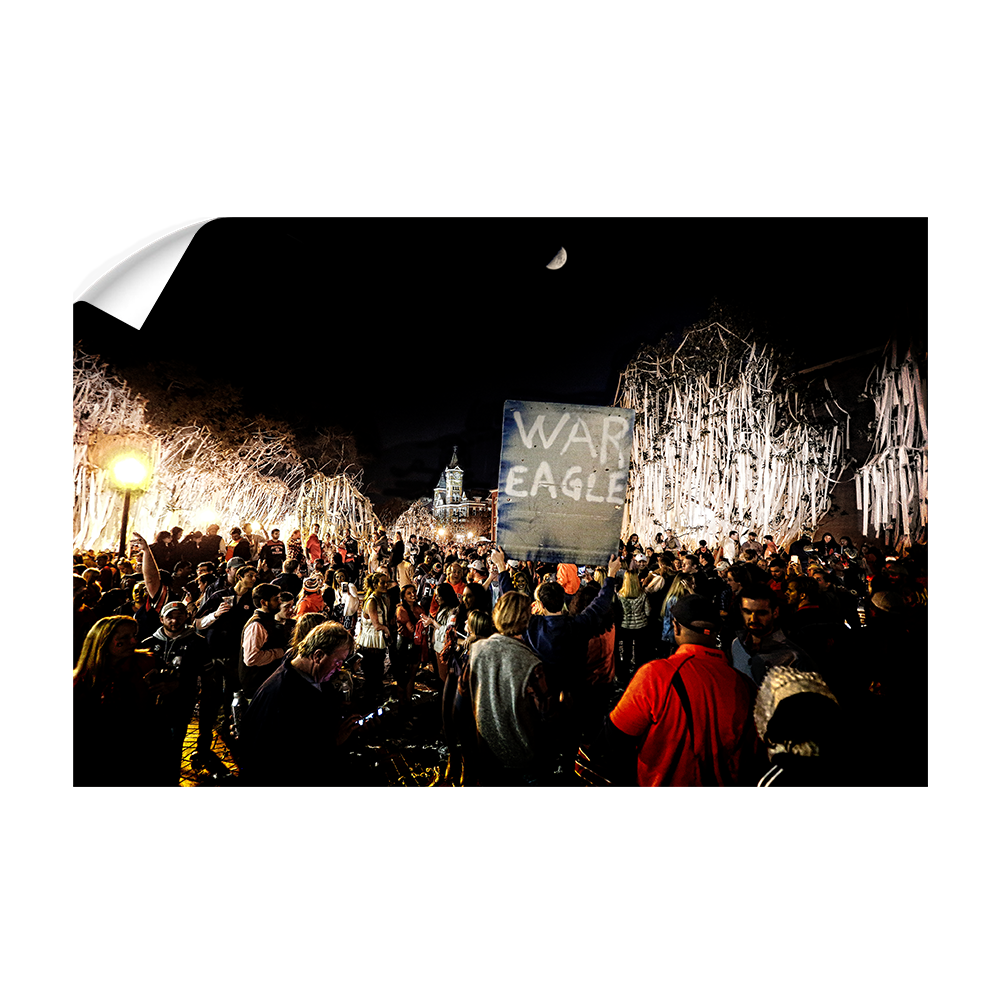 Auburn Tigers - War Eagle TP - College Wall Art#Canvas