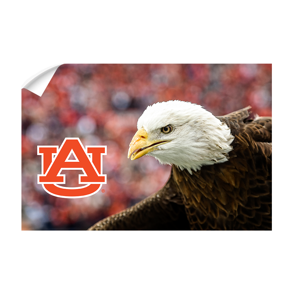 Auburn Tigers - War Eagle Up Close - College Wall Art#Canvas