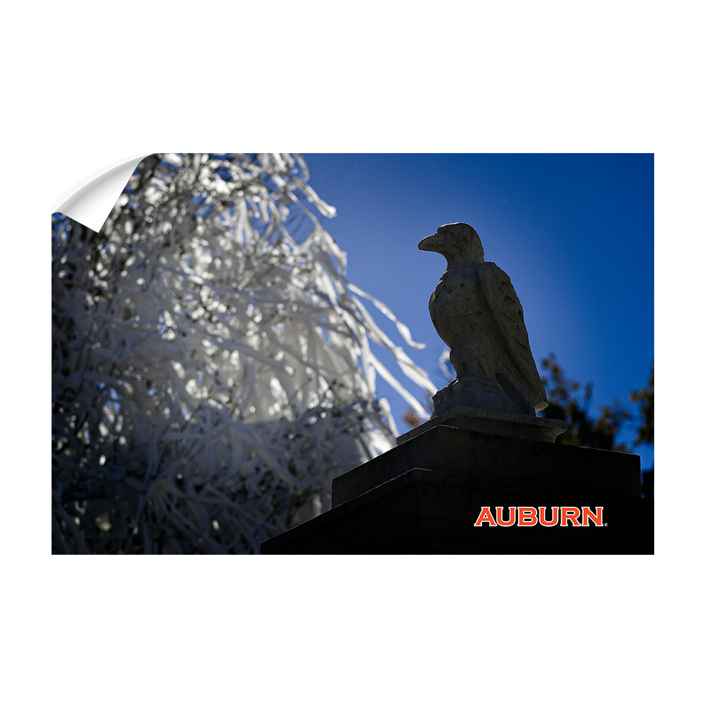 Auburn Tigers - Watchful Eye Toomers - College Wall Art#Canvas
