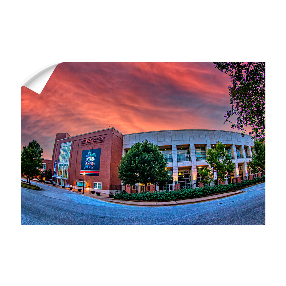 Auburn Tigers - Auburn Arena - College Wall Art #Canvas