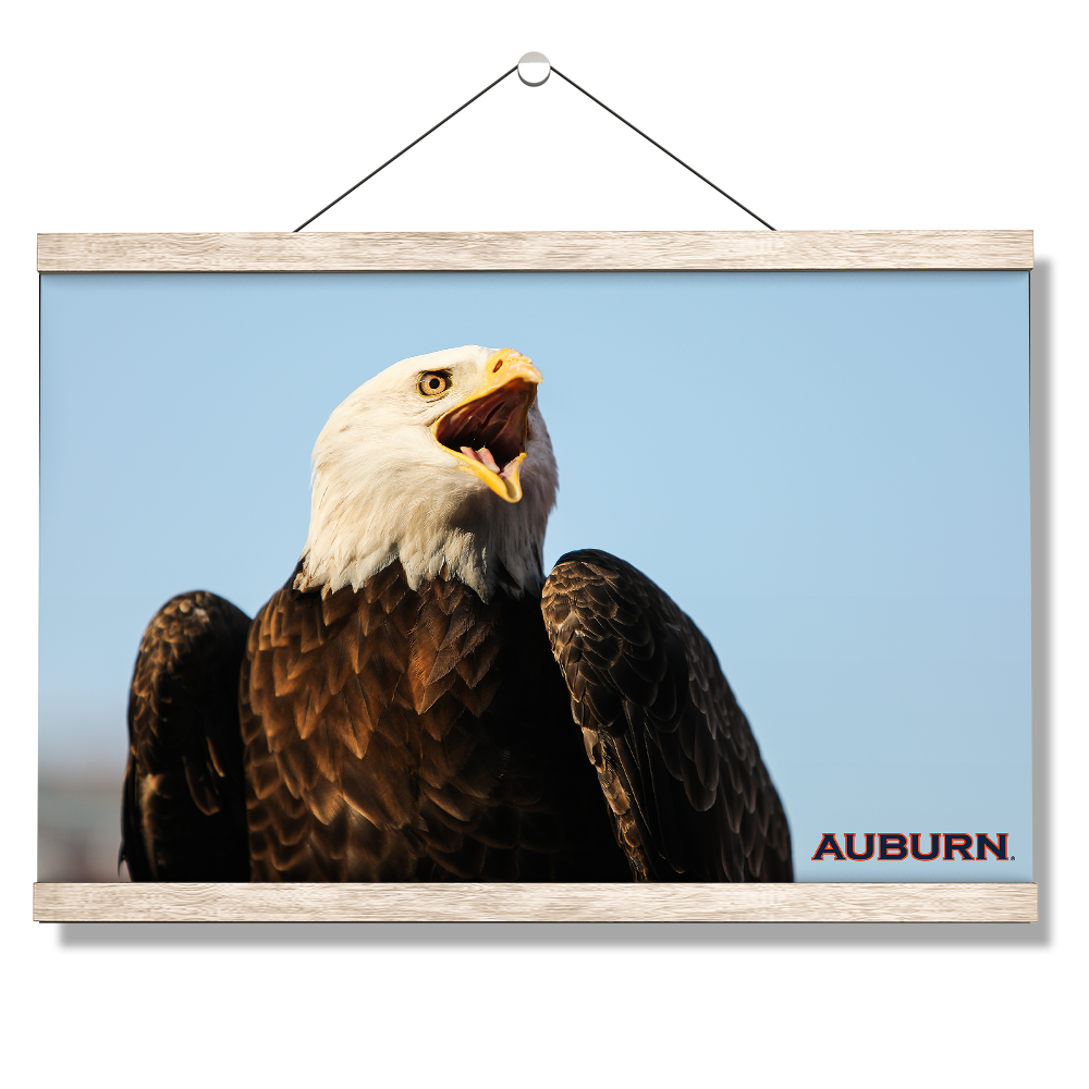 Auburn Tigers - War Eagle - College Wall Art#Canvas