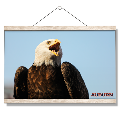 Auburn Tigers - War Eagle - College Wall Art#Hanging Canvas
