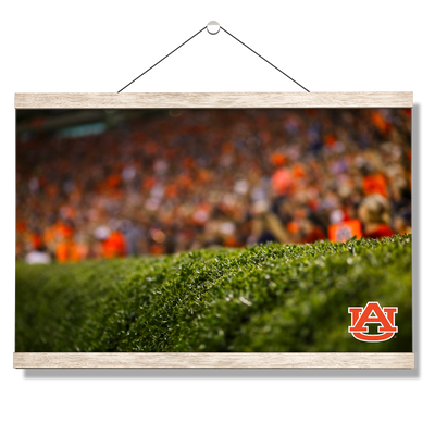 Auburn Tigers - The Hedges - College Wall Art#Hanging Canvas