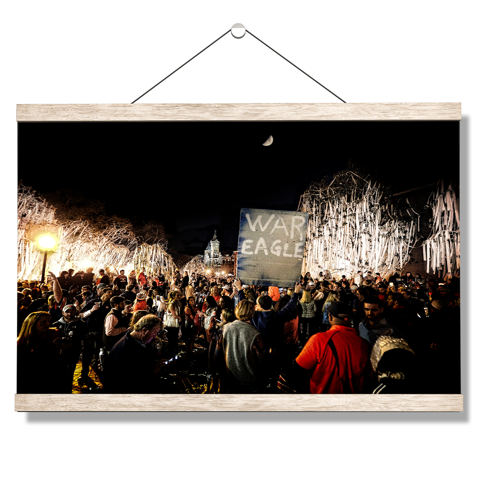 Auburn Tigers - War Eagle TP - College Wall Art#Canvas