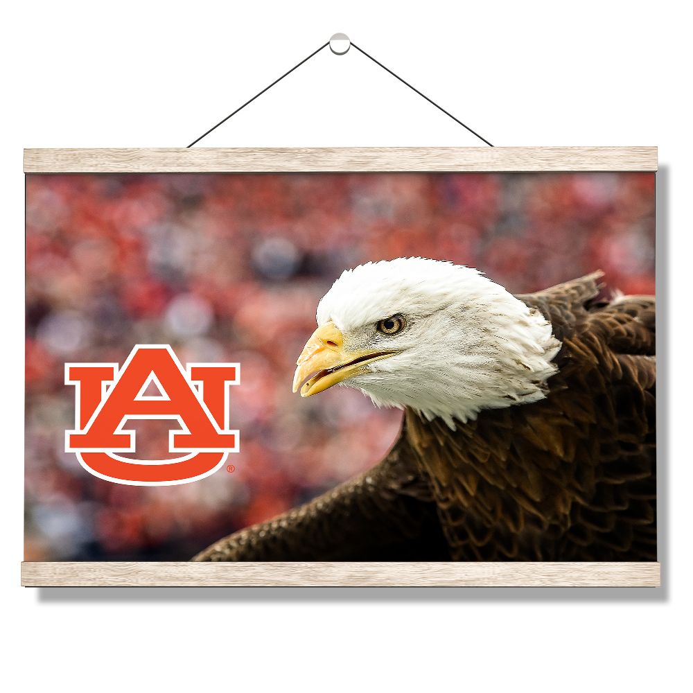 Auburn Tigers - War Eagle Up Close - College Wall Art#Canvas
