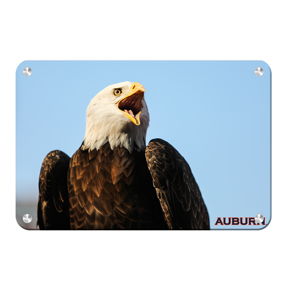 Auburn Tigers - War Eagle - College Wall Art#Canvas
