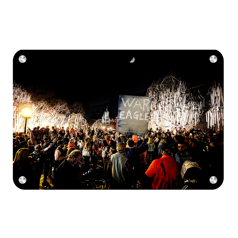 Auburn Tigers - War Eagle TP - College Wall Art#Canvas