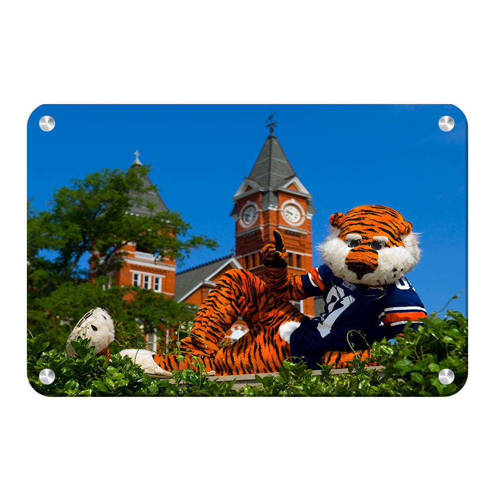 Auburn Tigers - Aubie - College Wall Art#Canvas