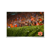 Auburn Tigers - The Hedges - College Wall Art#Poster
