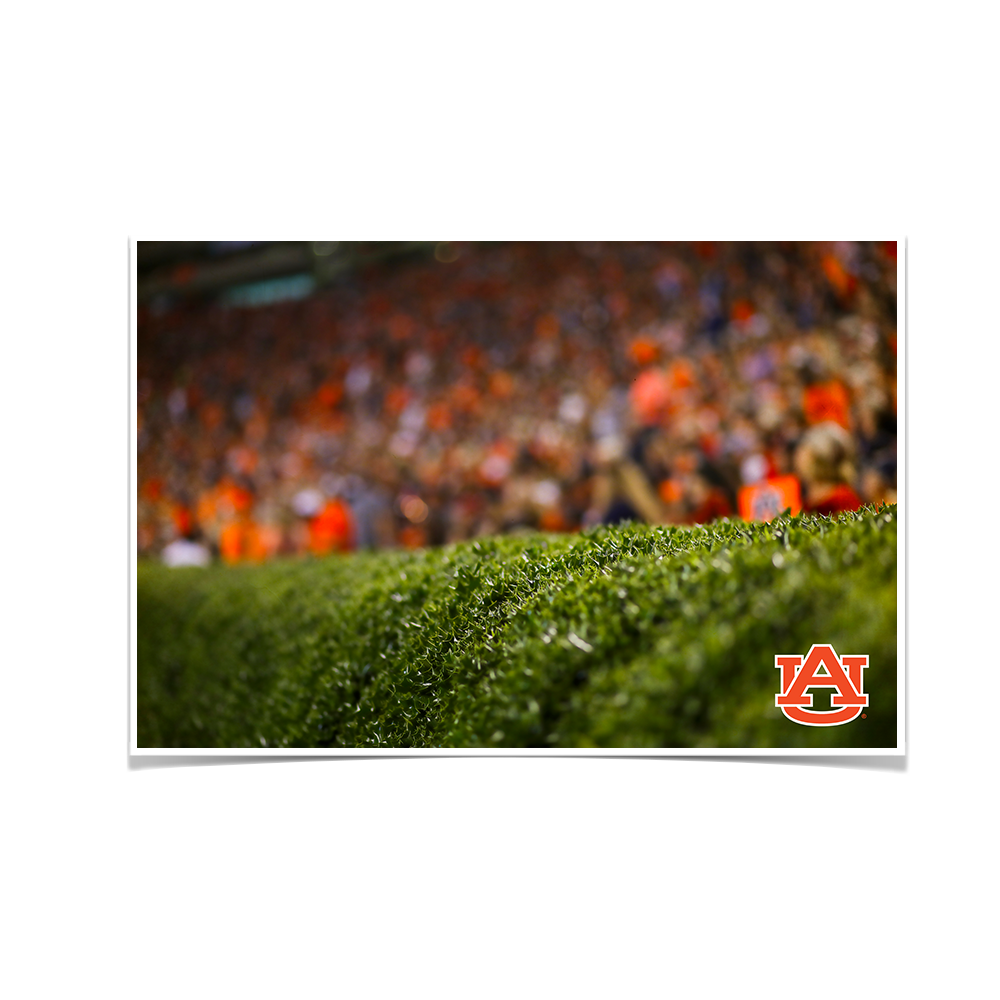 Auburn Tigers - The Hedges - College Wall Art#Canvas