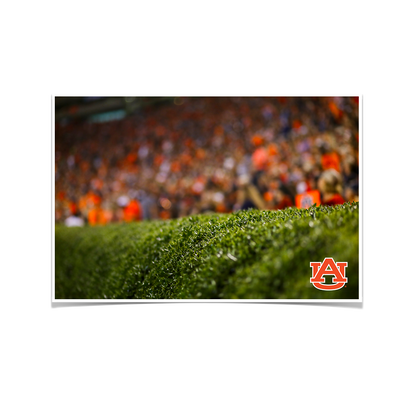 Auburn Tigers - The Hedges - College Wall Art#Poster