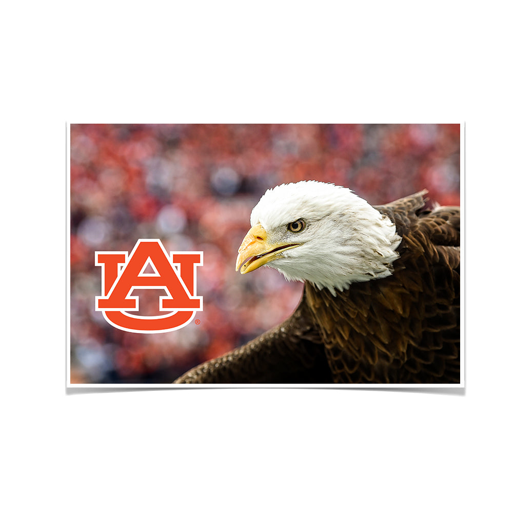 Auburn Tigers-War Eagle Up Close-War Eagle-Jordan-Hare Stadium-Auburn  University-College Wall Art