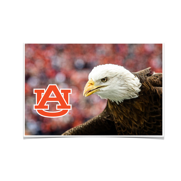 Auburn Tigers - War Eagle Up Close