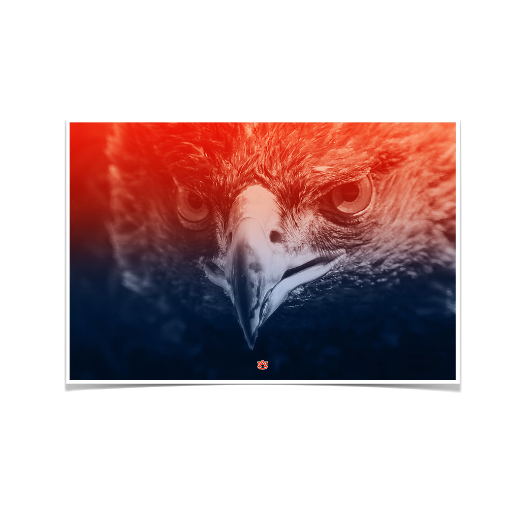 Auburn Tigers - Greetings War Eagle - College Wall Art#Canvas