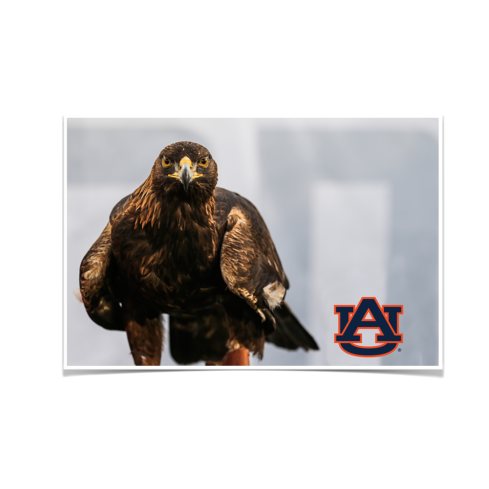 Auburn Tigers - War Eagle - College Wall Art#Canvas