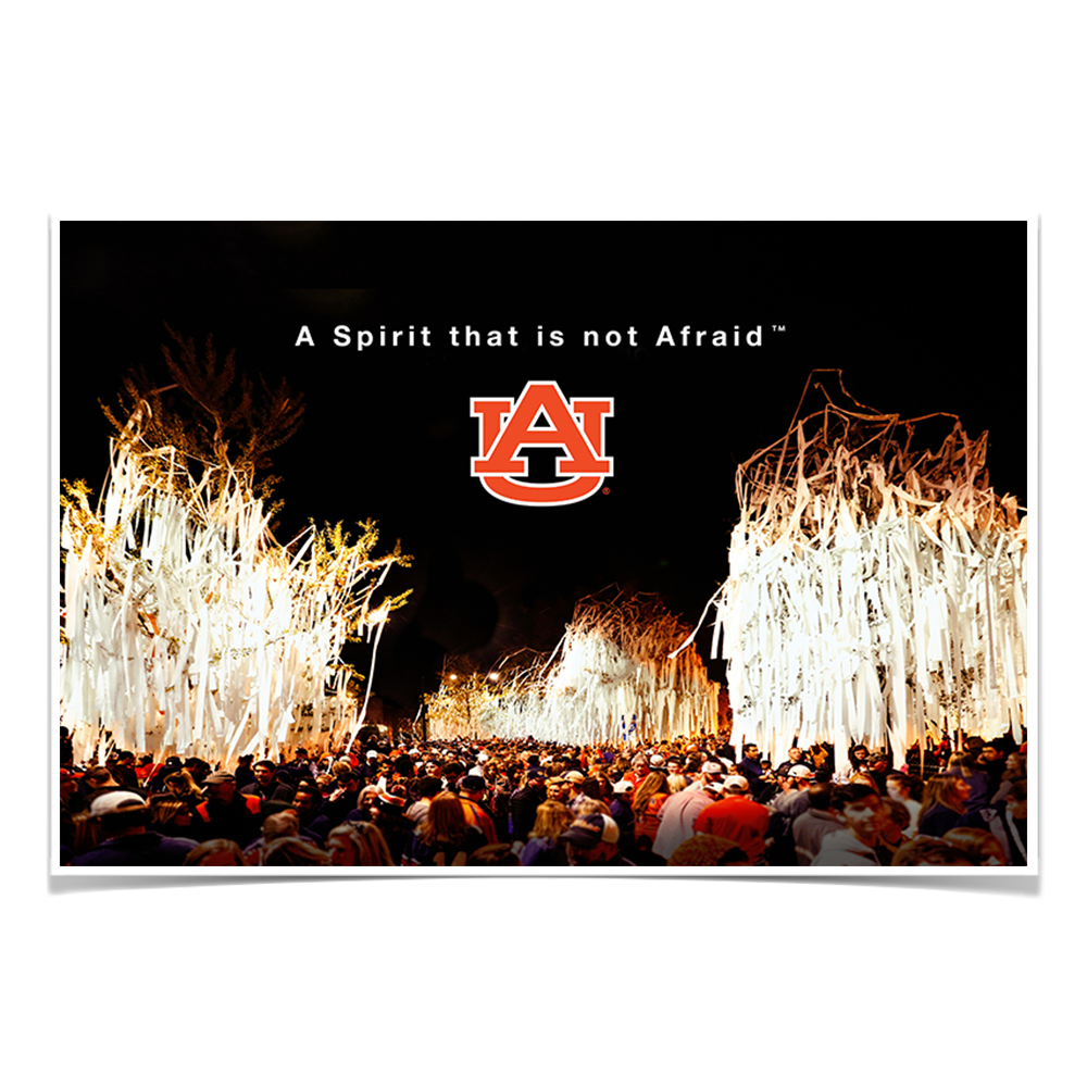 Auburn Tigers - A Spirit That Is Not Afraid - College Wall Art#Canvas