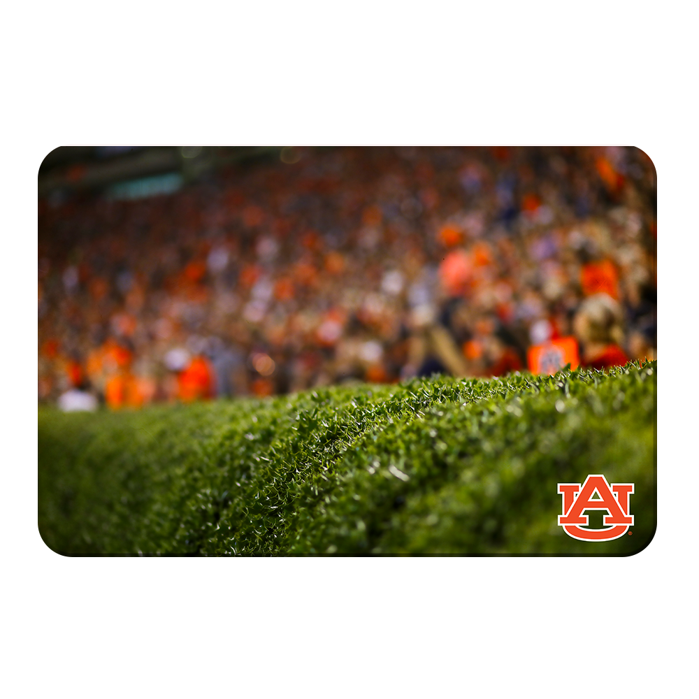 Auburn Tigers - The Hedges - College Wall Art#Canvas