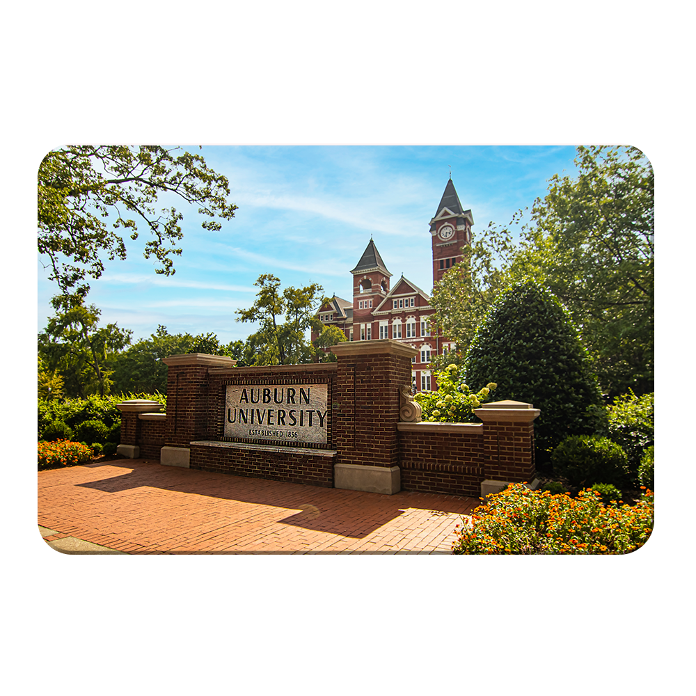 Auburn Tigers - Auburn University - College Wall Art #Canvas