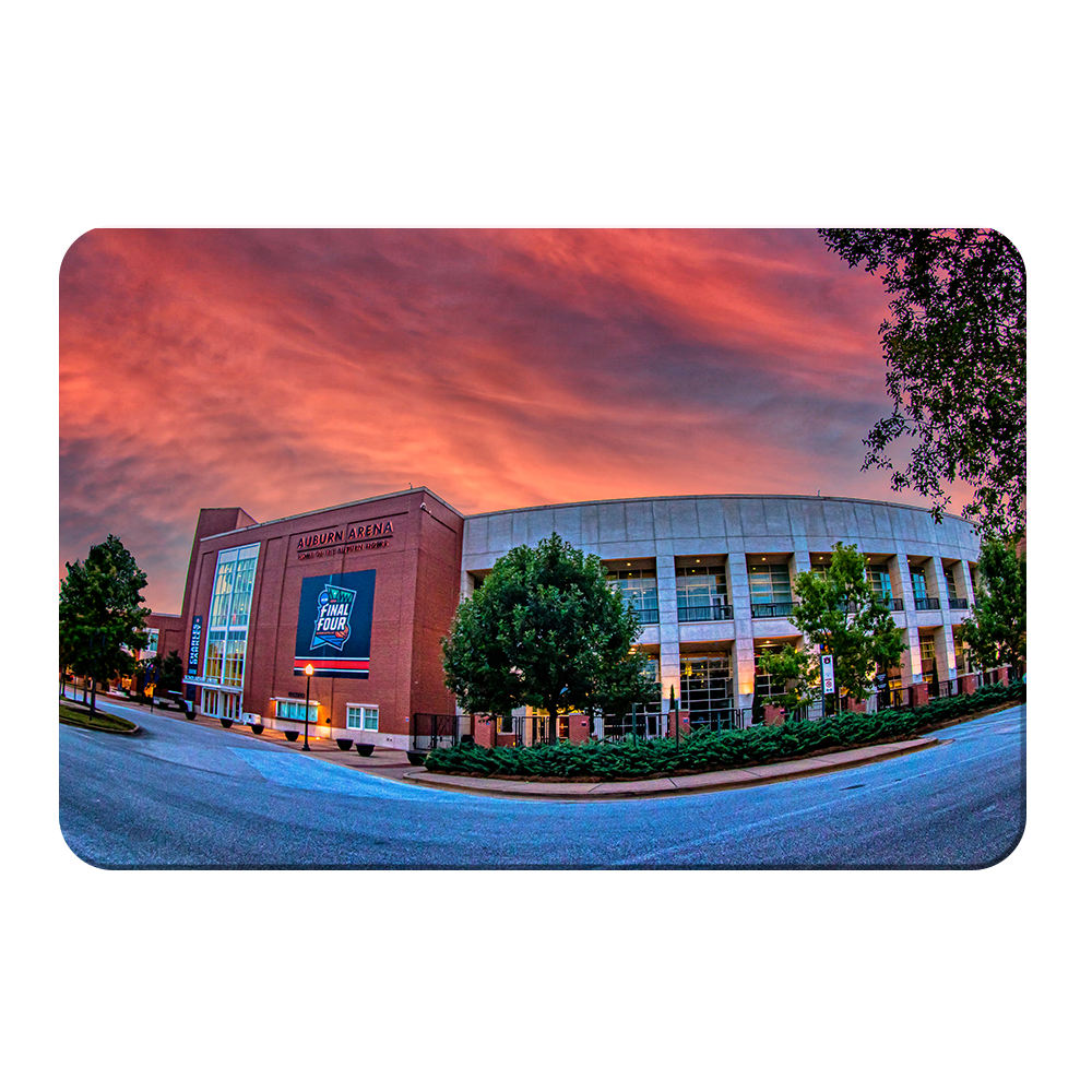Auburn Tigers - Auburn Arena - College Wall Art #Canvas