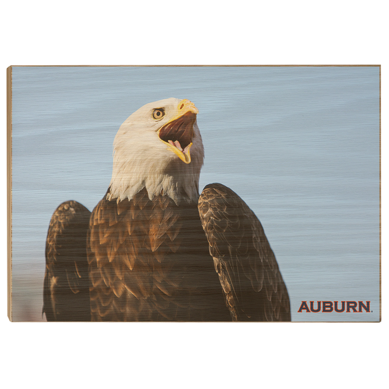 Auburn TigersWar EagleAuburn UniversityJordanHare StadiumCollege
