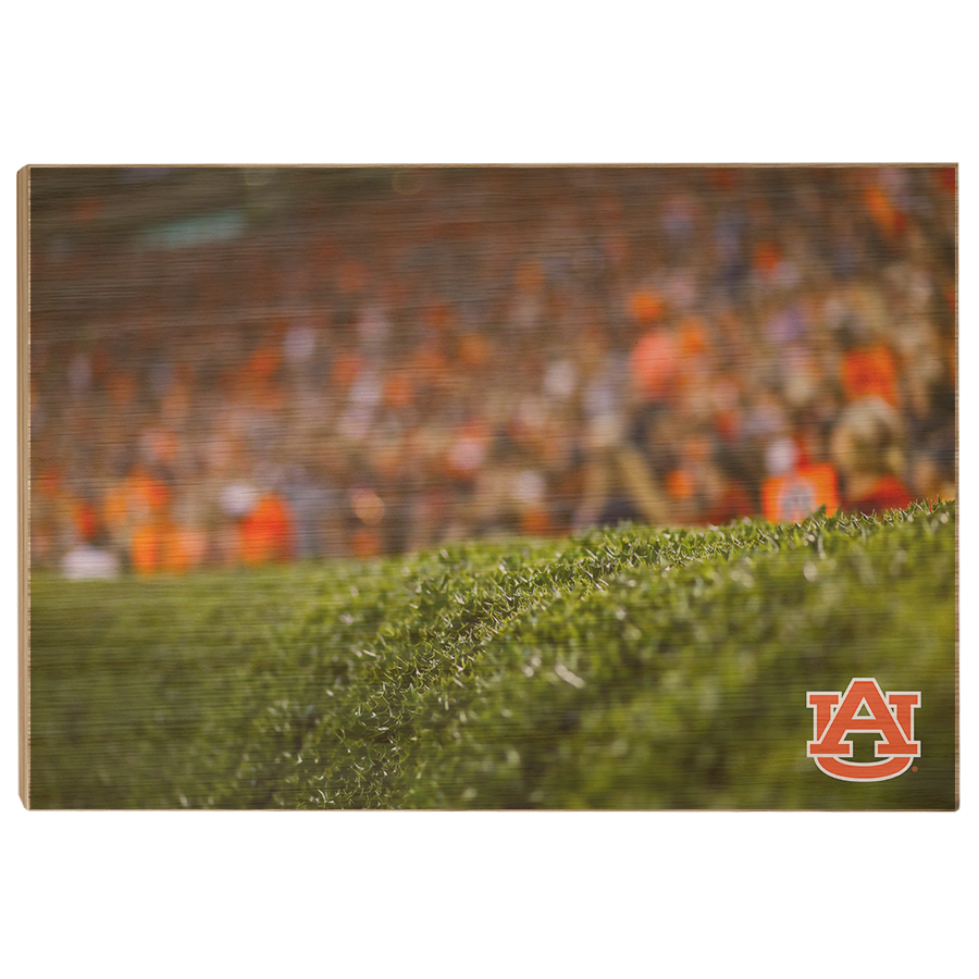 Auburn Tigers - The Hedges - College Wall Art#Canvas