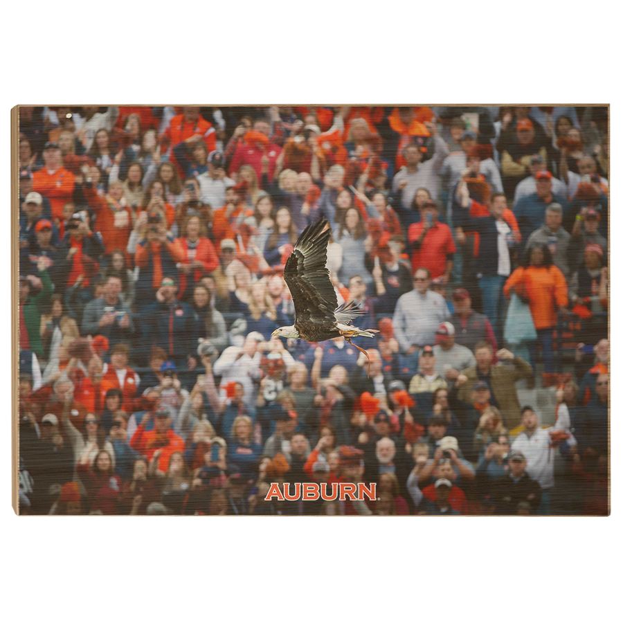 Auburn Tigers - War Eagle Soars - College Wall Art#Canvas