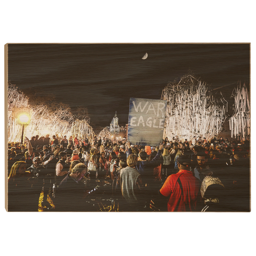 Auburn Tigers - War Eagle TP - College Wall Art#Canvas