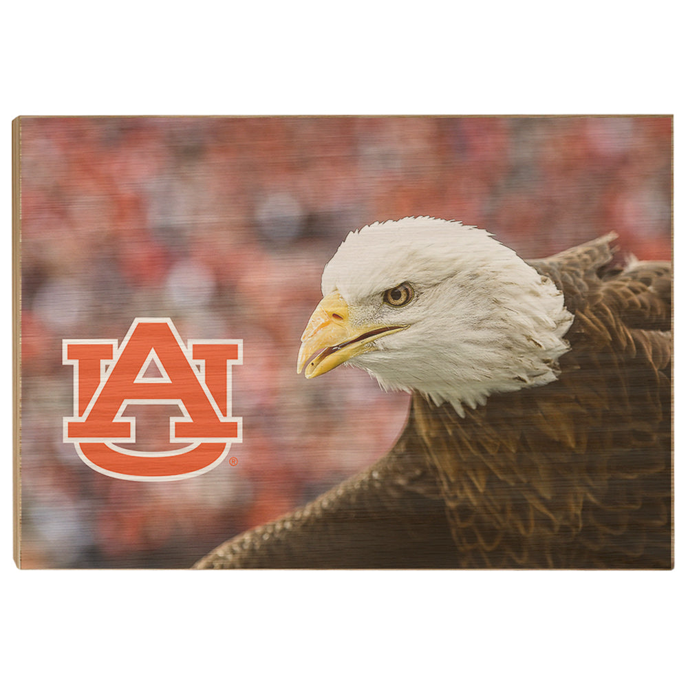 Auburn Tigers - War Eagle Up Close - College Wall Art#Canvas