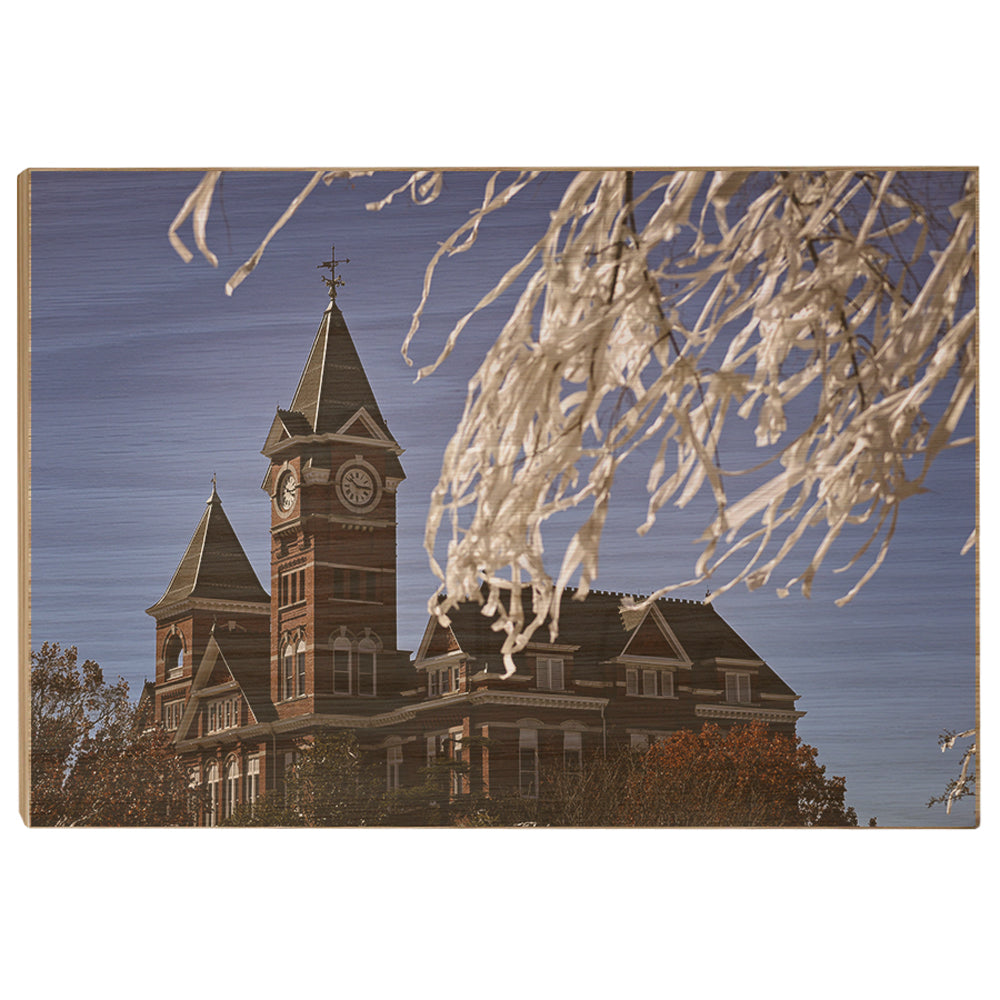 Auburn Tigers - Samford Toomers - College Wall Art#Canvas