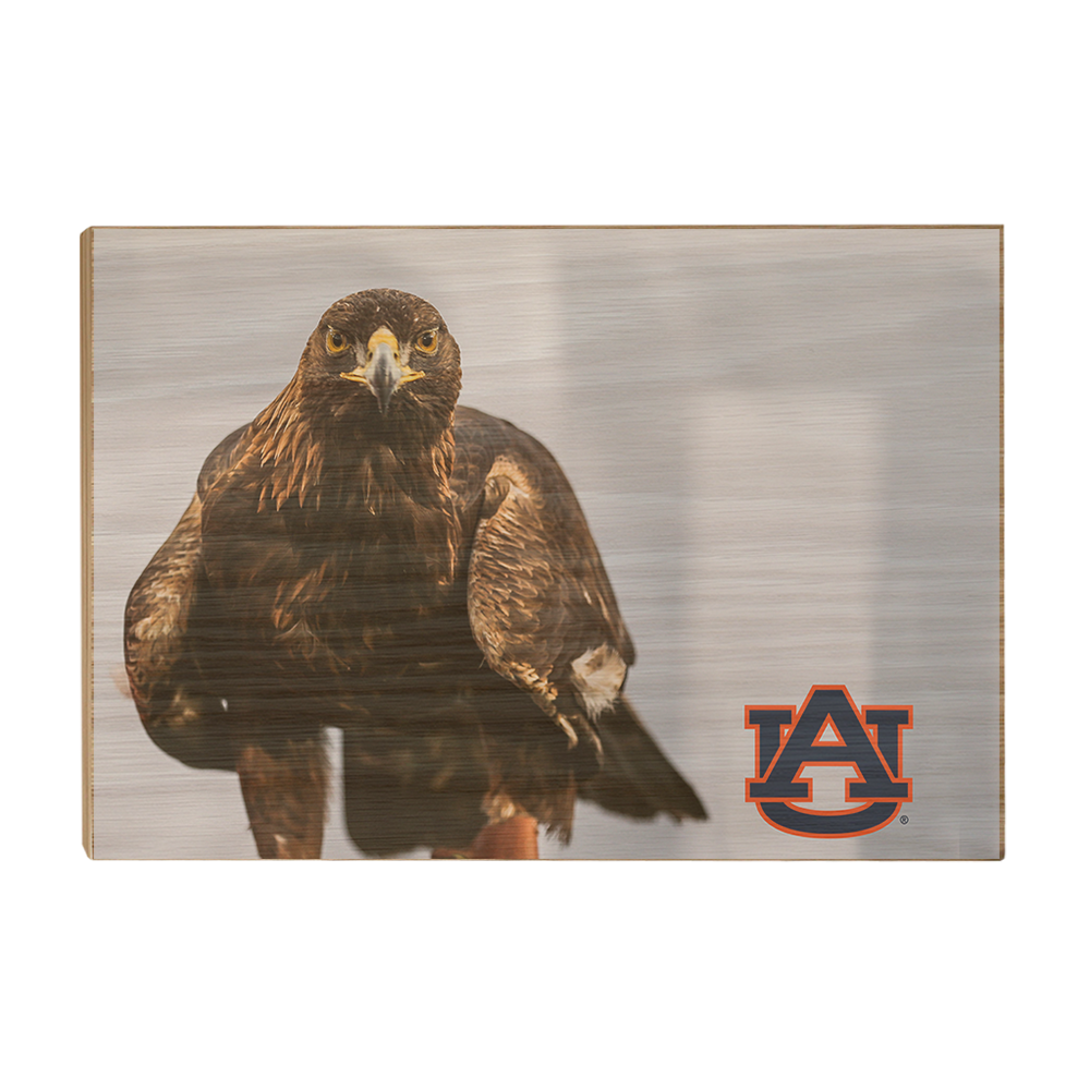 Auburn Tigers - War Eagle - College Wall Art#Canvas