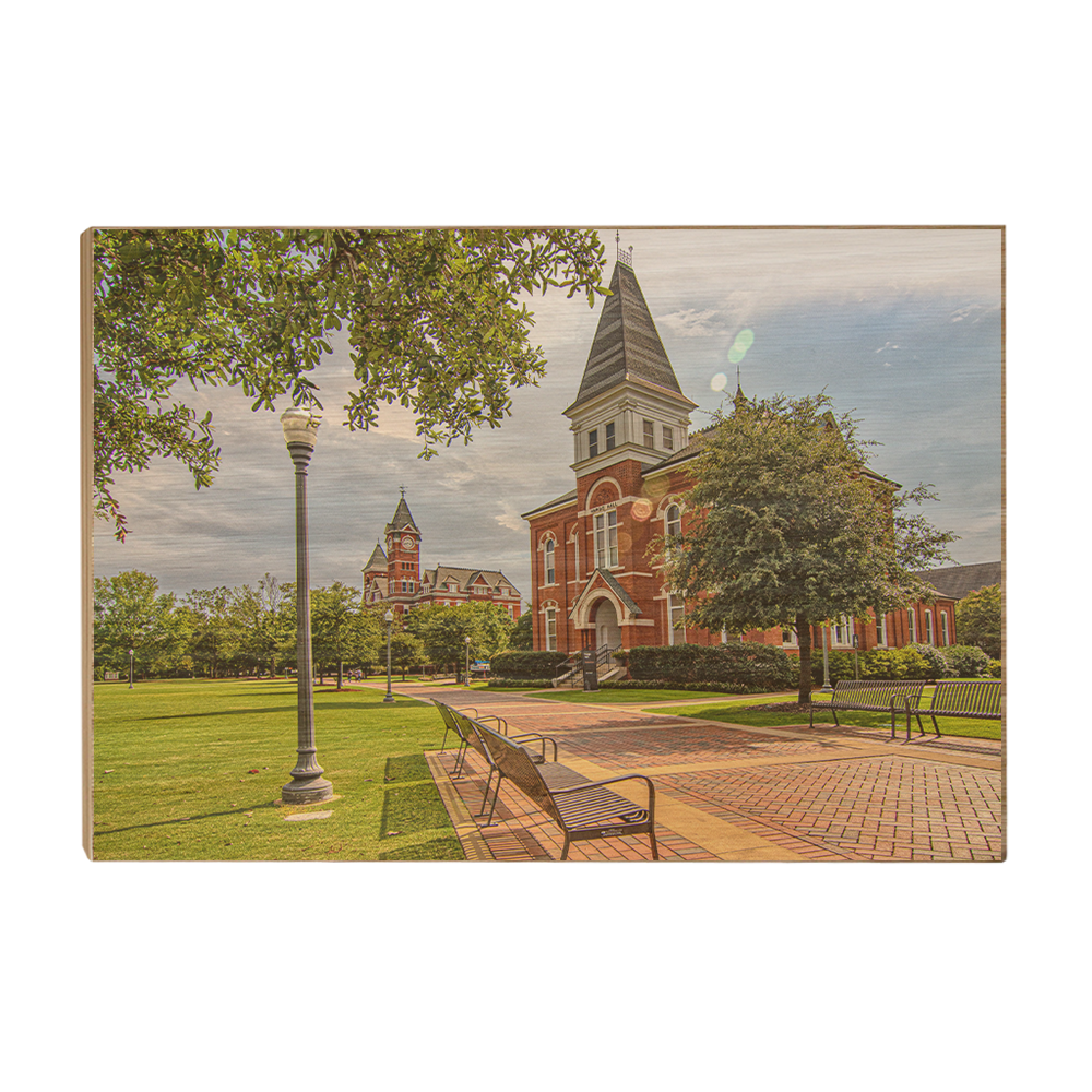 Auburn Tigers - Old School HDR - College Wall Art #Canvas